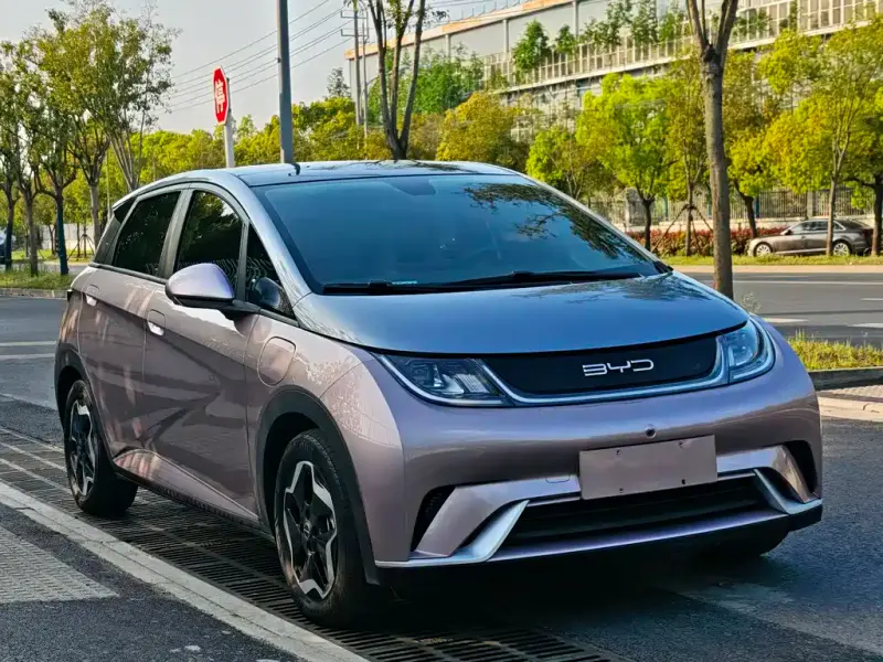 BYD Dolphin, 2021