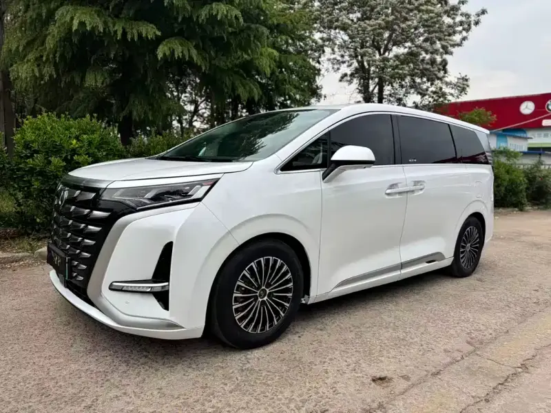 Denza D9, 2024