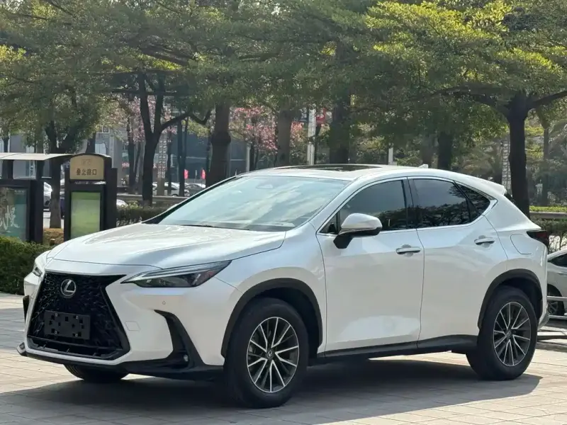 Lexus NX, 2022