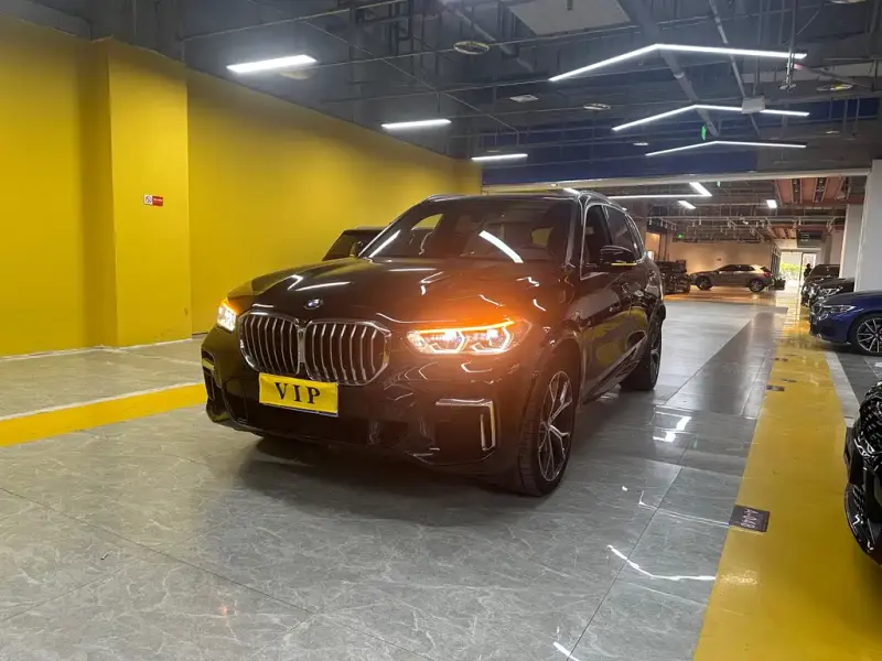 BMW X5 (Import), 2021