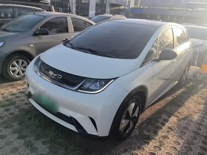 BYD Dolphin, 2023
