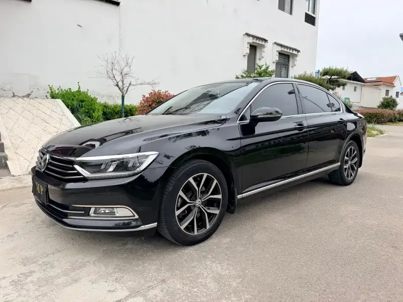 Volkswagen Magotan, 2019