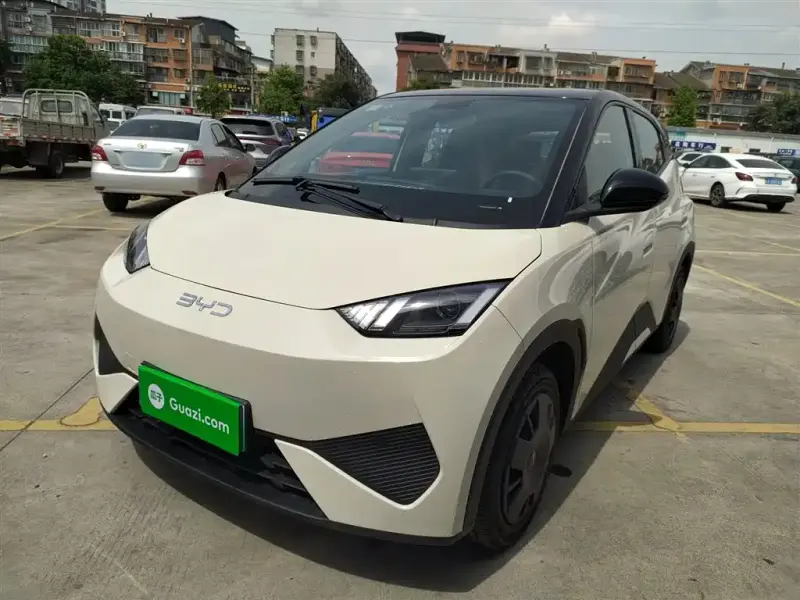 BYD Seagull, 2025