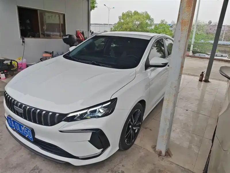 Geely Binrui, 2024