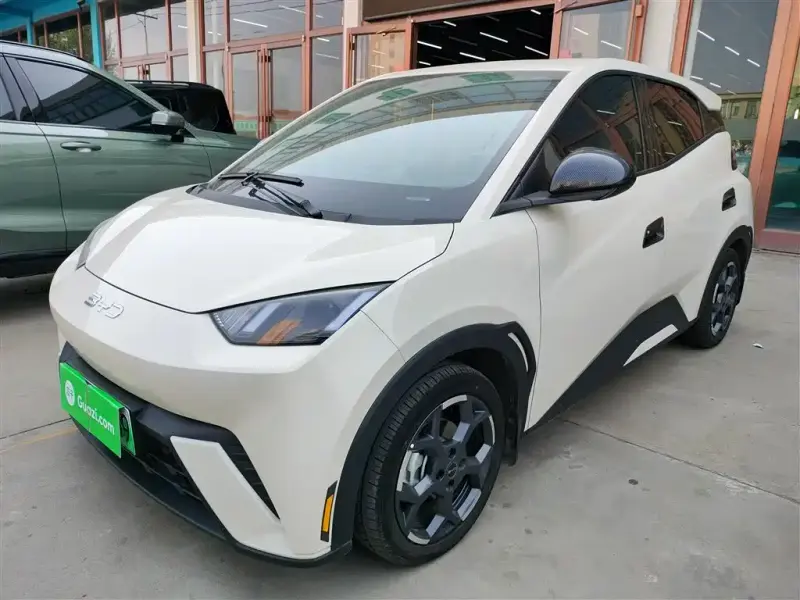 BYD Seagull, 2025