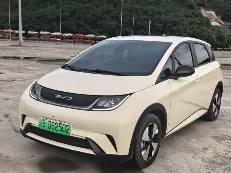 BYD Dolphin, 2024