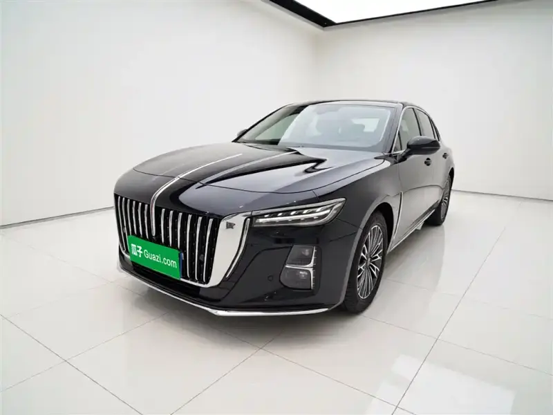 Hongqi H5, 2024