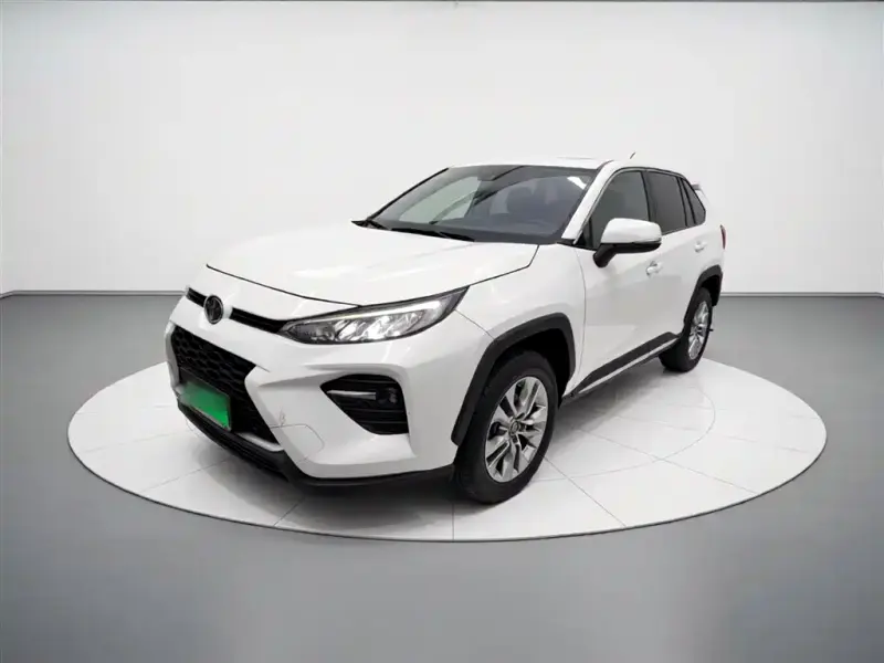 Toyota Wildlander, 2020