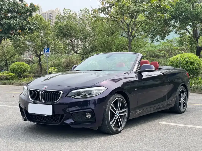 BMW 2 Series (Import), 2019