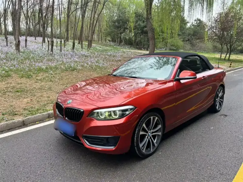 BMW 2 Series (Import), 2021