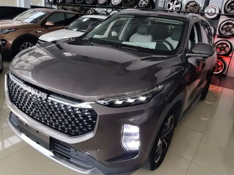 Maxus D60, 2019