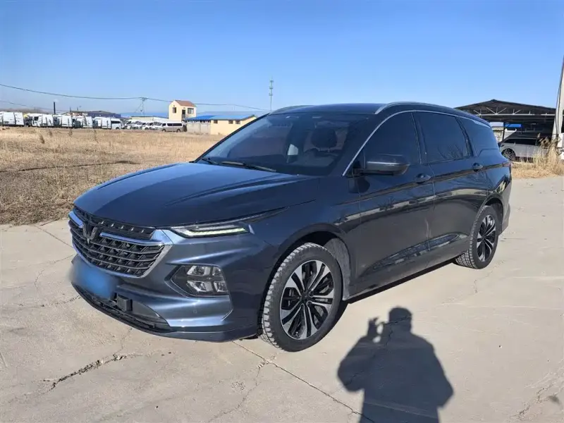 Wuling Victory, 2020