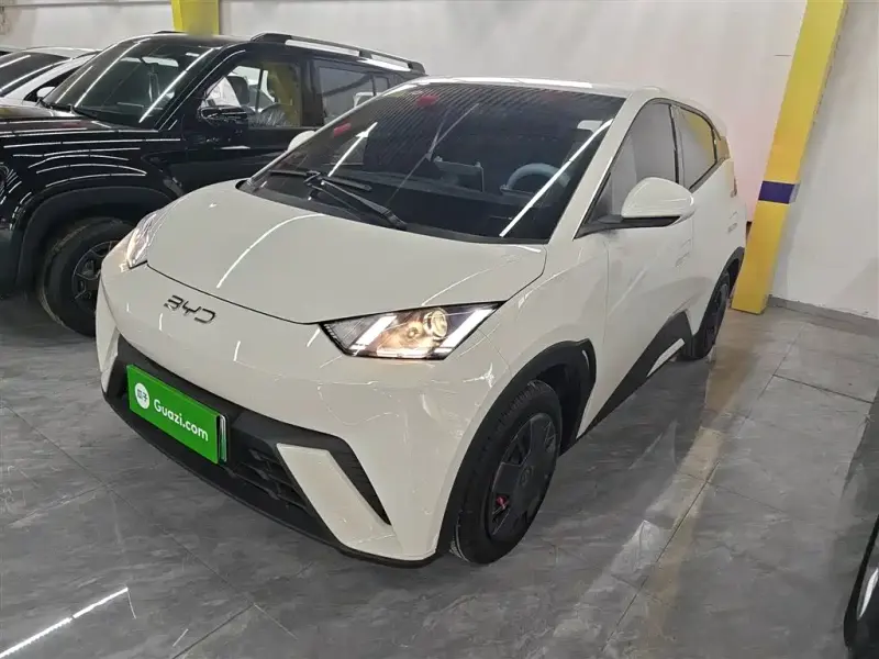BYD Seagull, 2025