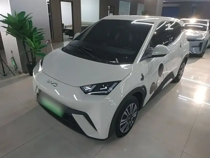 BYD Seagull, 2025