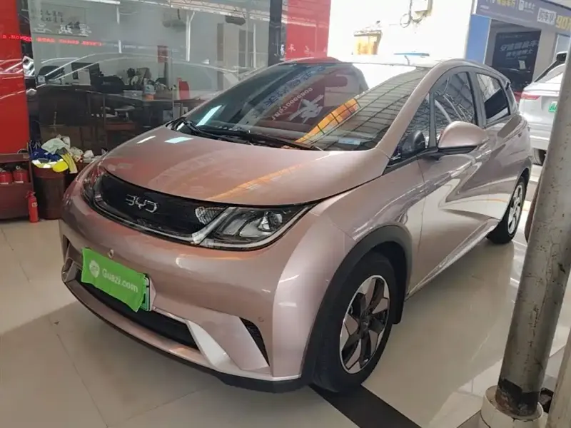 BYD Dolphin, 2025