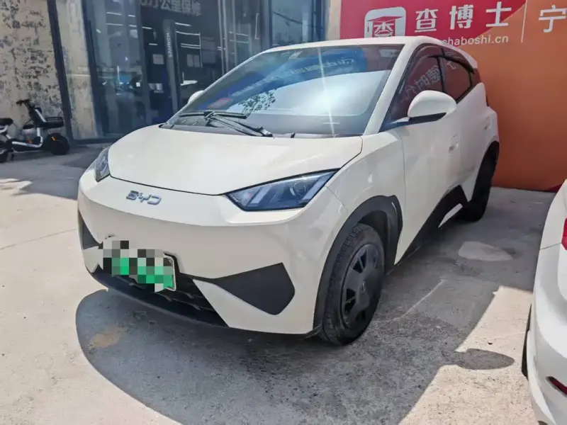 BYD Seagull, 2025