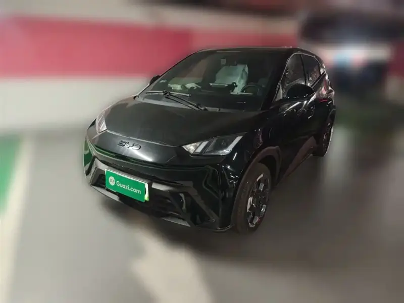 BYD Seagull, 2025