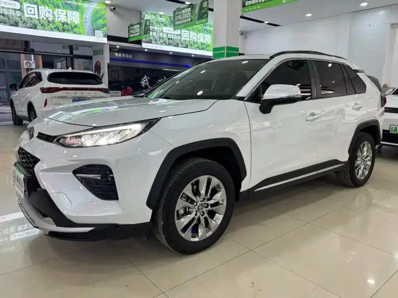 Toyota Wildlander, 2020