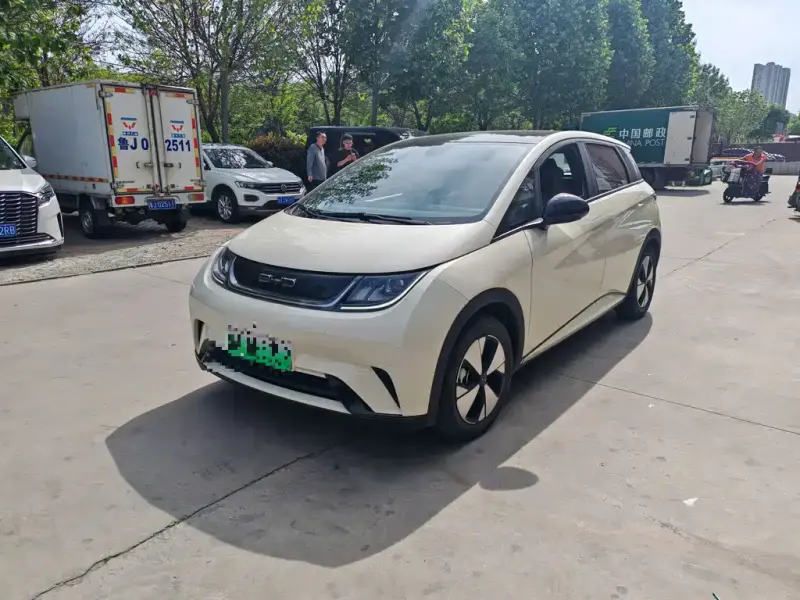 BYD Dolphin, 2023