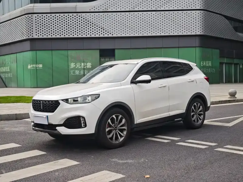 Wey VV6, 2019