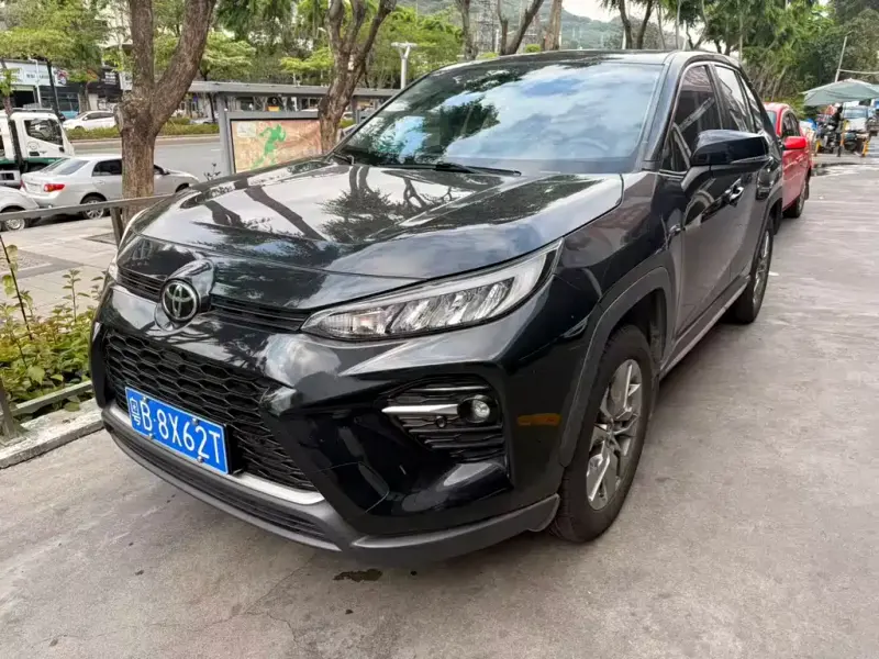 Toyota Wildlander, 2020