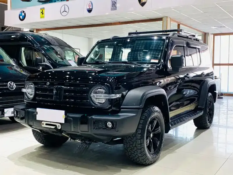 Tank 300, 2021