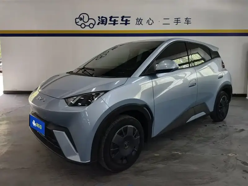 BYD Seagull, 2024