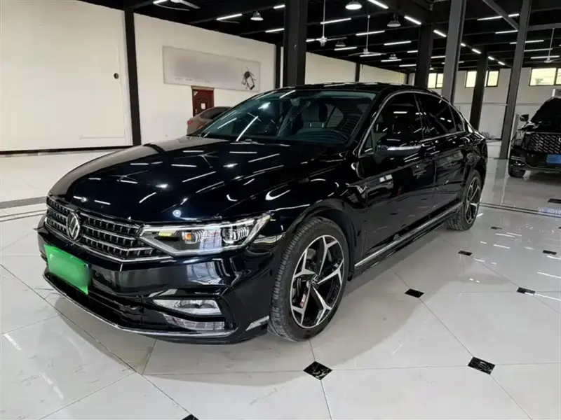 Volkswagen Magotan, 2024