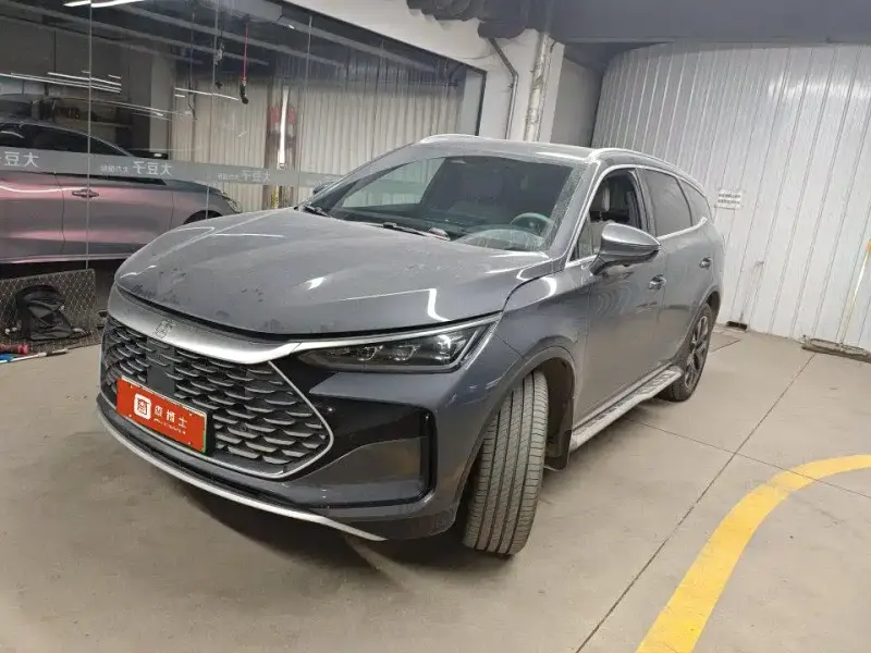 BYD Tang New Energy, 2024