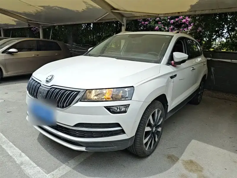 Skoda Karoq, 2020