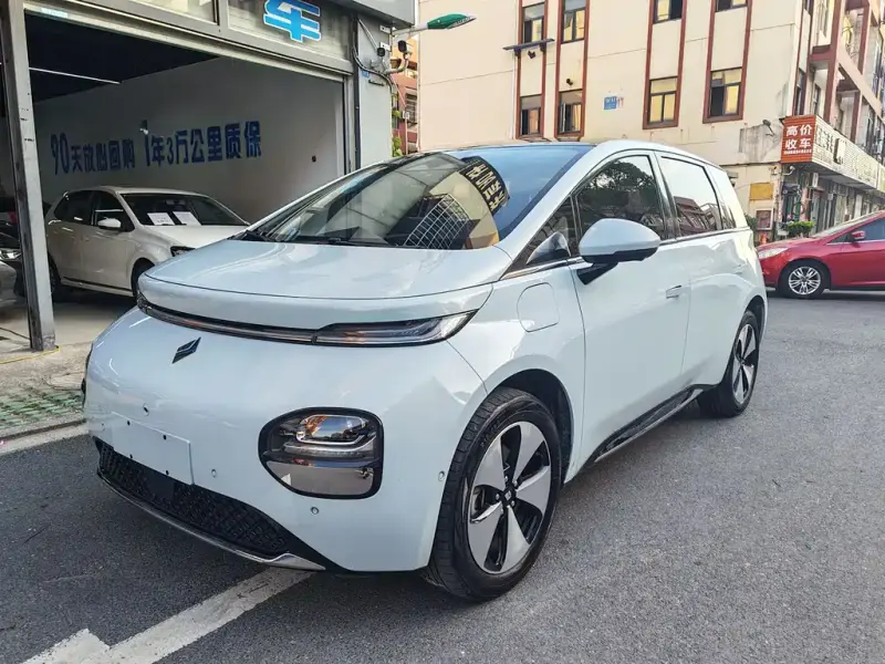 Baojun Yunduo, 2024