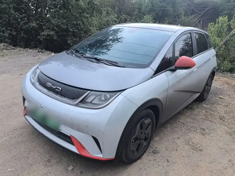 BYD Dolphin, 2021