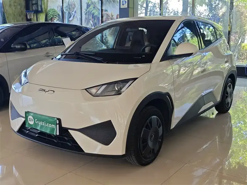 BYD Seagull, 2025