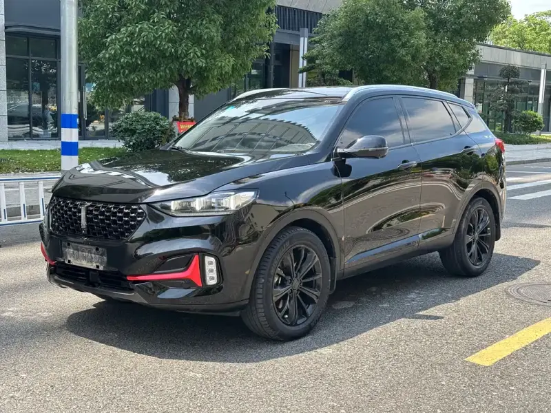 Wey VV6, 2021