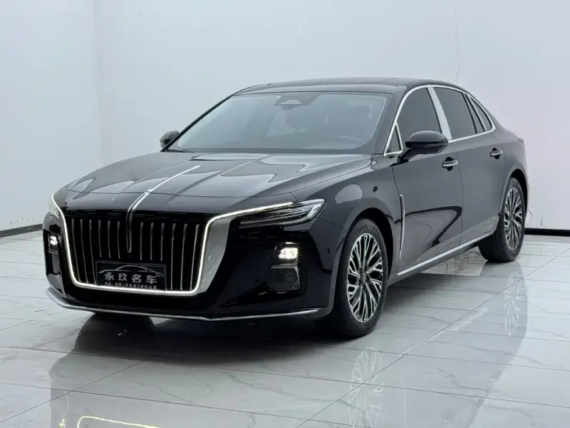 Hongqi H5, 2024