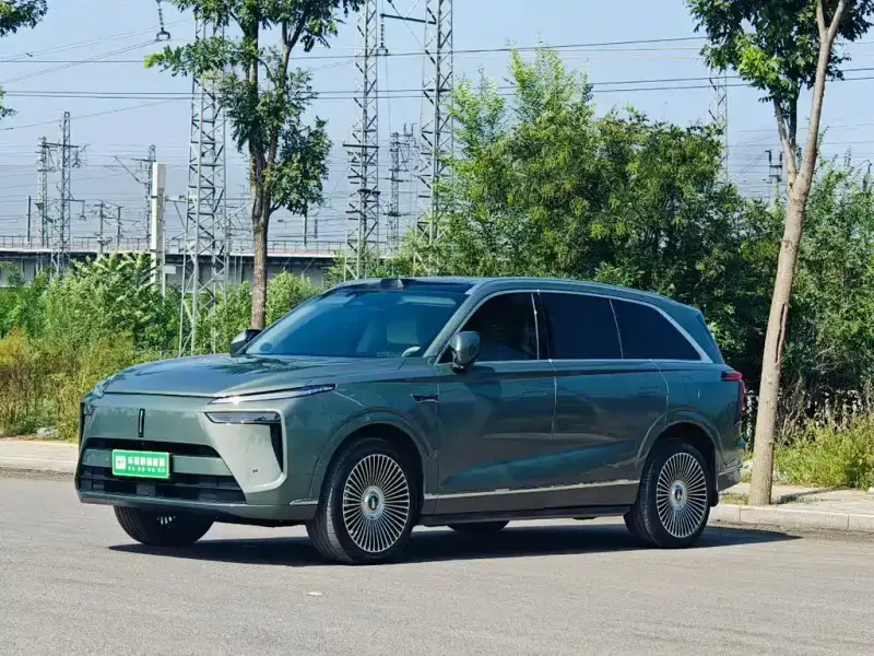 Wey Lanshan, 2024