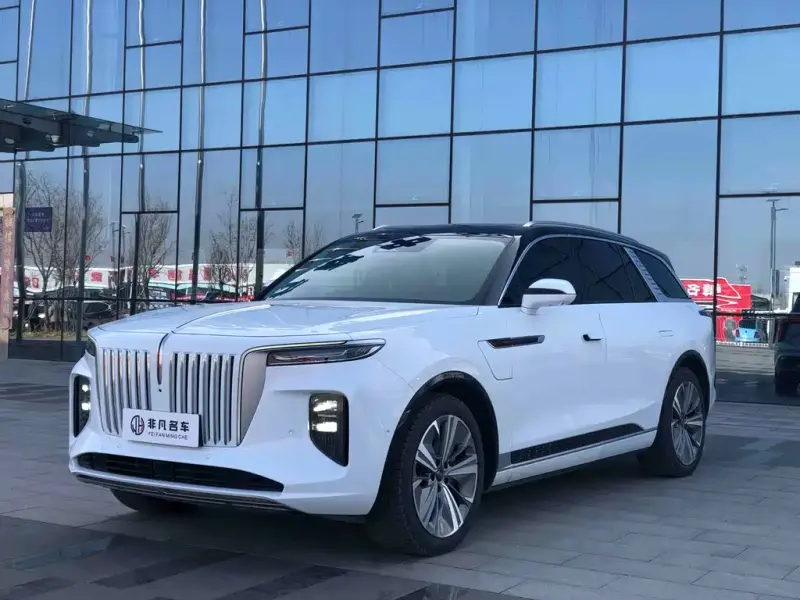 Hongqi E-HS9, 2021