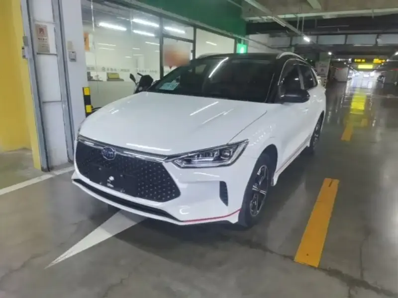 BYD e2, 2021