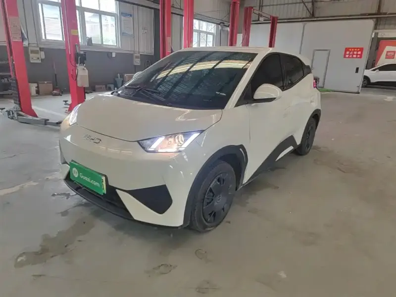 BYD Seagull, 2025