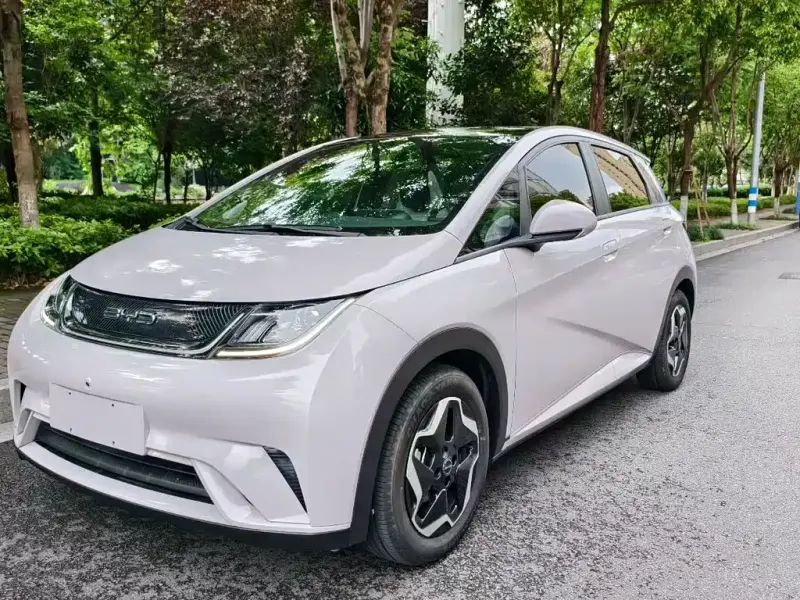 BYD Dolphin, 2022