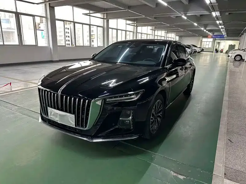 Hongqi H5, 2025