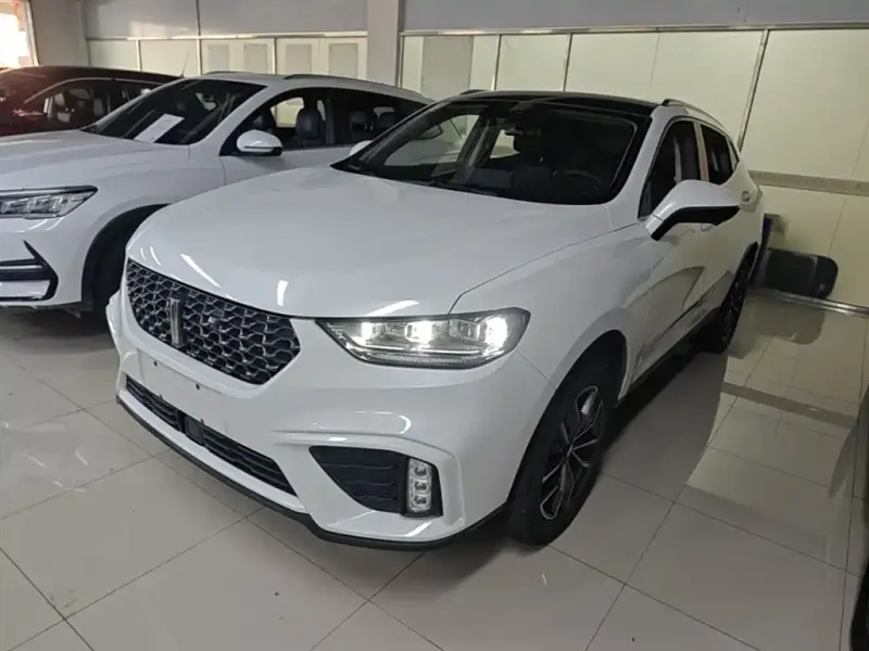 Wey VV5, 2020
