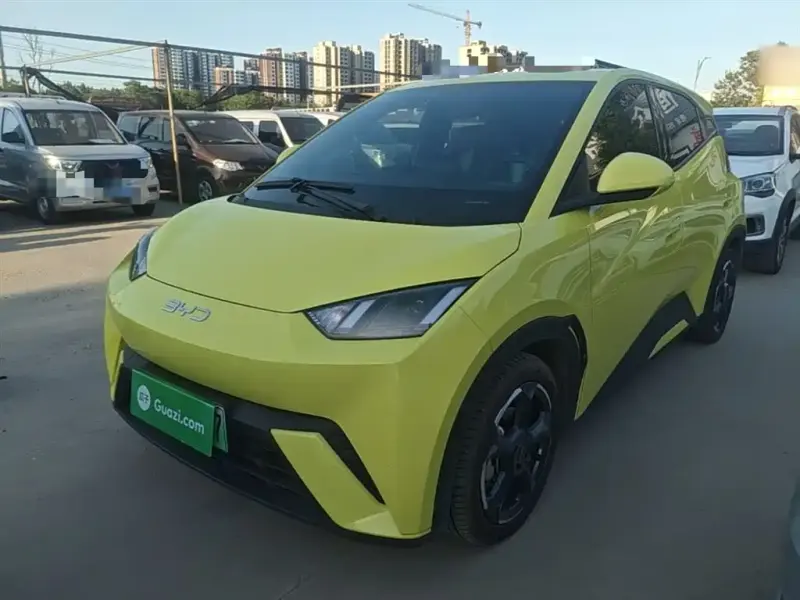 BYD Seagull, 2024