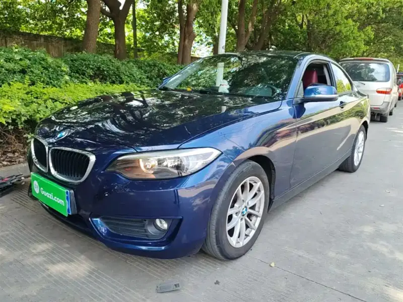 BMW 2 Series (Import), 2016