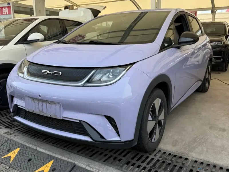 BYD Dolphin, 2024