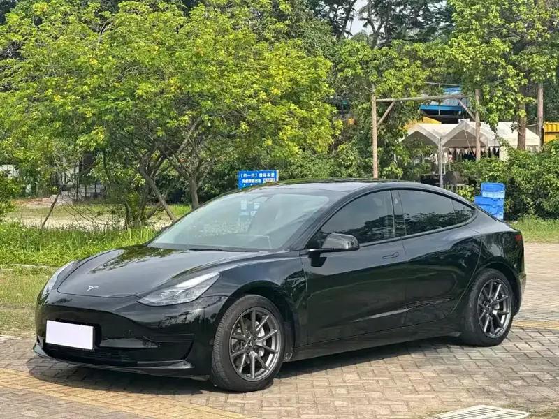 Tesla Model 3, 2021