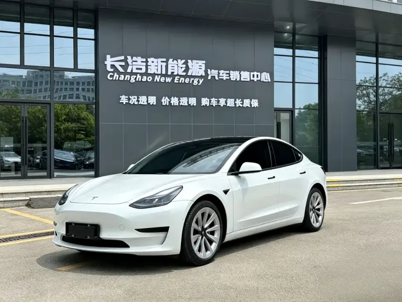 Tesla Model 3, 2021