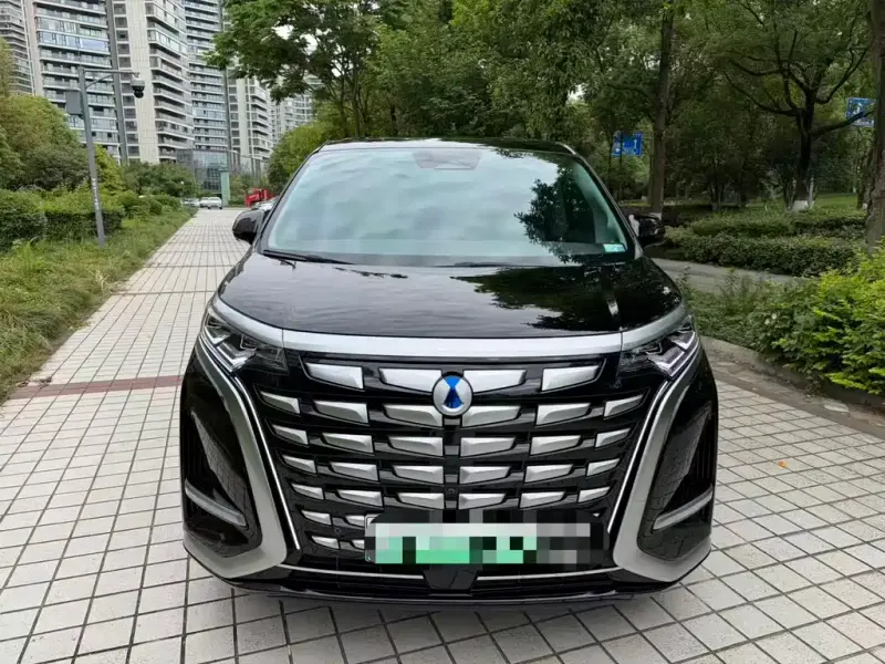 Denza D9, 2024