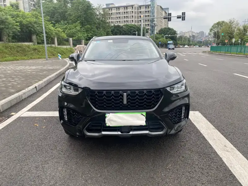 Wey VV5, 2019