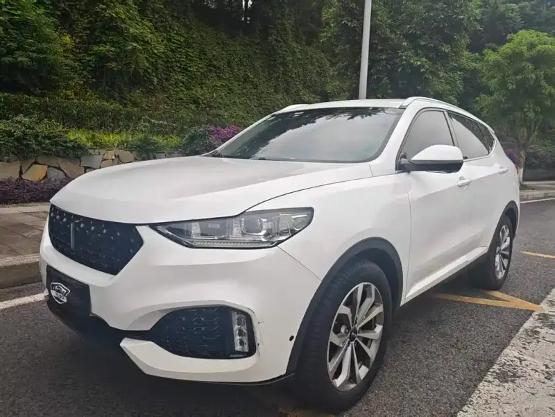 Wey VV6, 2018